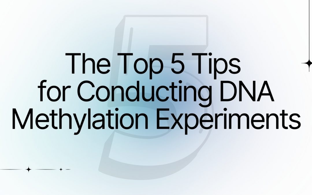 The Top 5 Tips for Conducting DNA Methylation Experiments