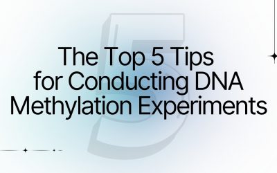 The Top 5 Tips for Conducting DNA Methylation Experiments